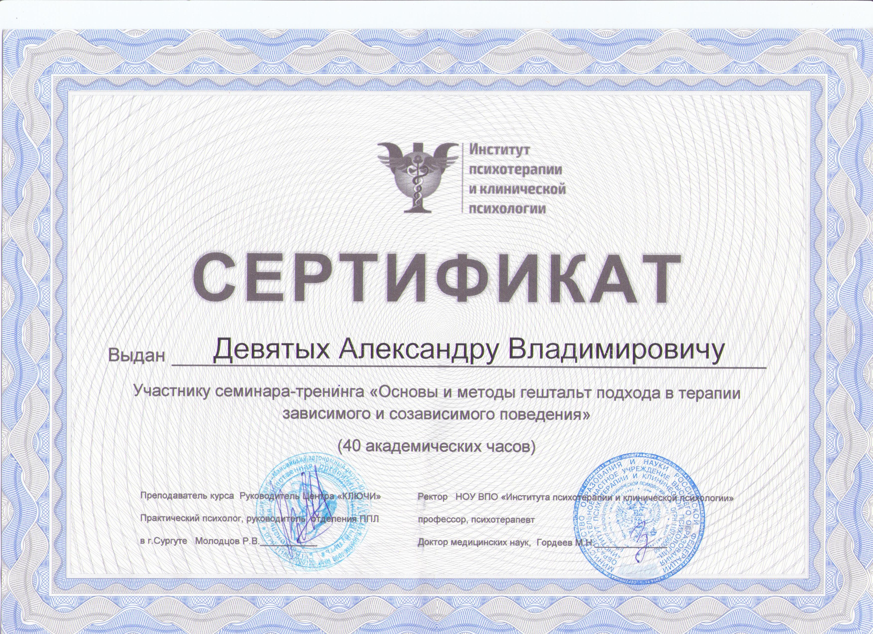 Сертификат Девятых 004