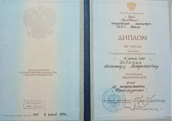 Сертификат Девятых 006